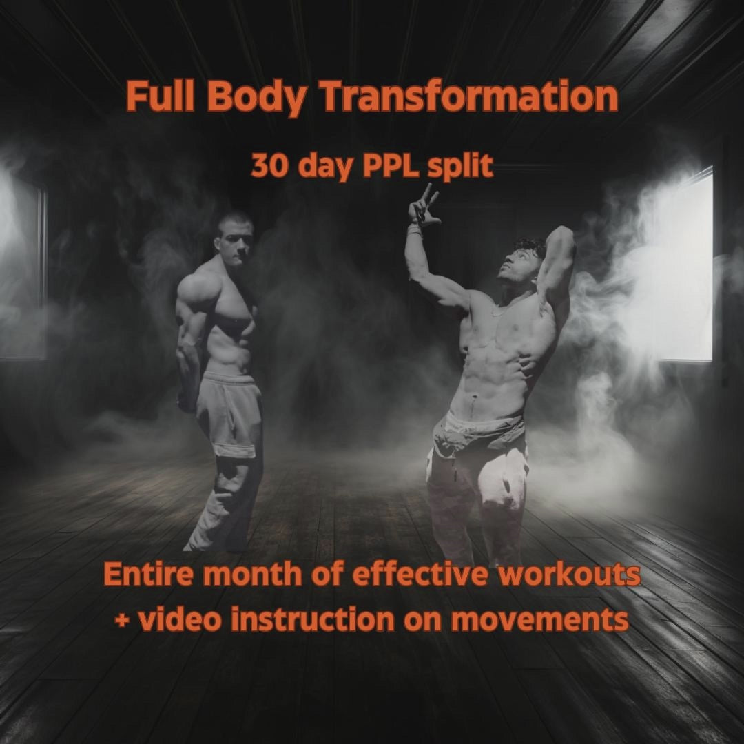 Full body transformation online plan